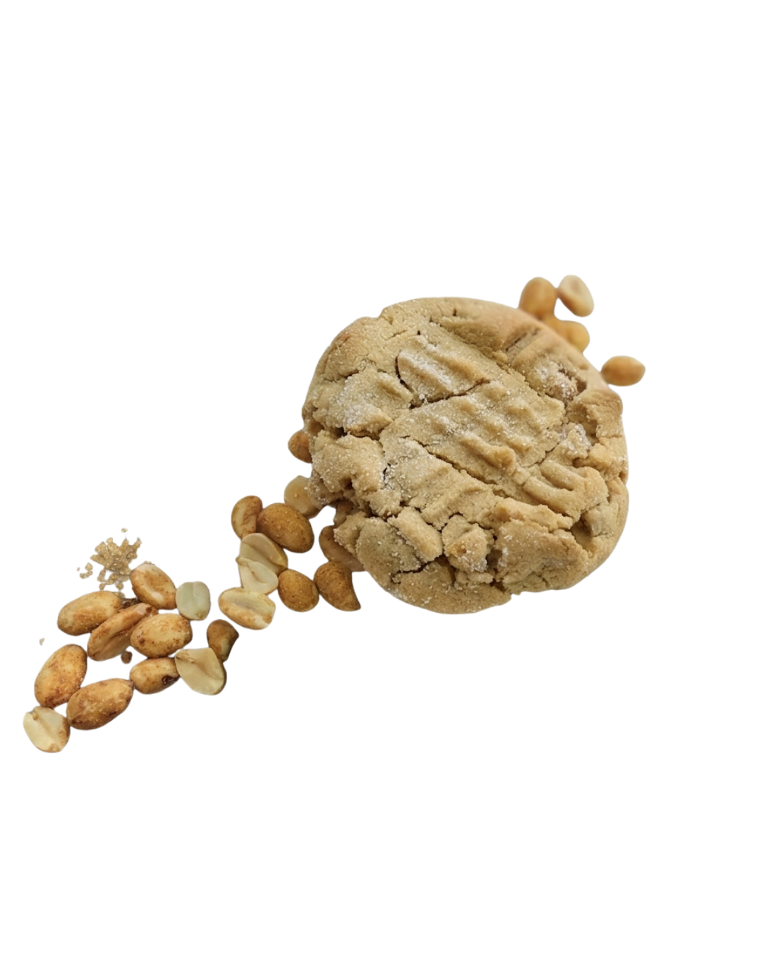 Peanut Butter Cookie